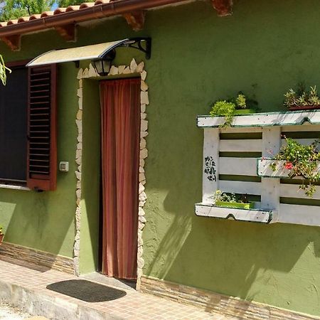Appartamento Il Salice Casa Minnina Buitenkant foto