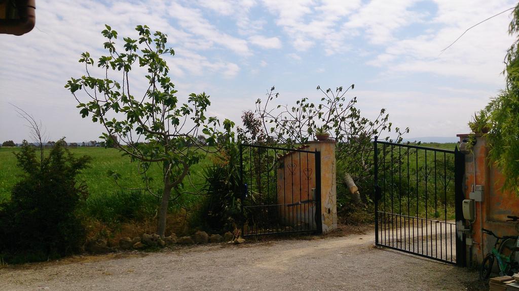 Appartamento Il Salice Casa Minnina Buitenkant foto