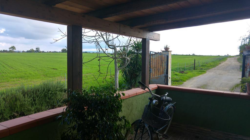 Appartamento Il Salice Casa Minnina Buitenkant foto